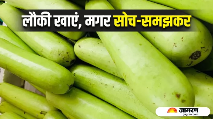 लौकी खाने से पहले जान लें ये बातें! (Image Source: Freepik)