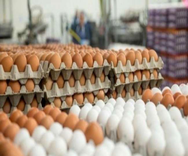 यूनिट स्थापित करने वाले को इस पर सरकार की ओर से 25 फीसद का अनुदान भी दिया जाएगा।