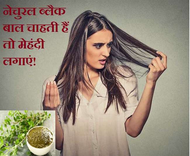 Natural Tips for Black Hair: नेचुरल तरीके से बालों को काला करती है मेहंदी, इन 4 चीजों के साथ करें इस्तेमाल - Add these ingredients in your Mehndi your hair will black Natural Tips for Black Hair: नेचुरल तरीके से बालों को काला करती है मेहंदी, इन 4 चीजों के साथ करें इस्तेमाल - Add these ingredients in your Mehndi your hair will black