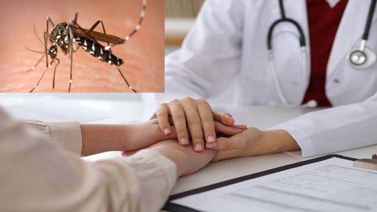 Bihar Dengue Cases बिहार में डेंगू के मामलों में इजाफा। प्रतीकात्‍मक तस्‍वीर