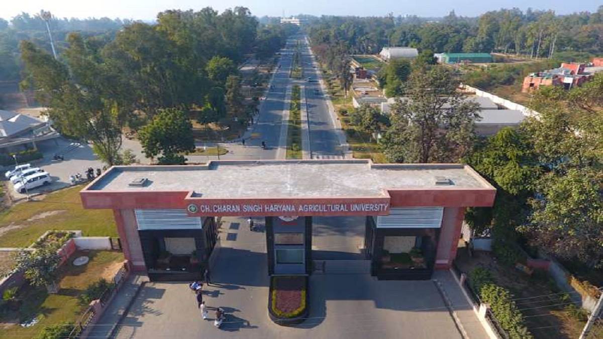 News Article Hero Image