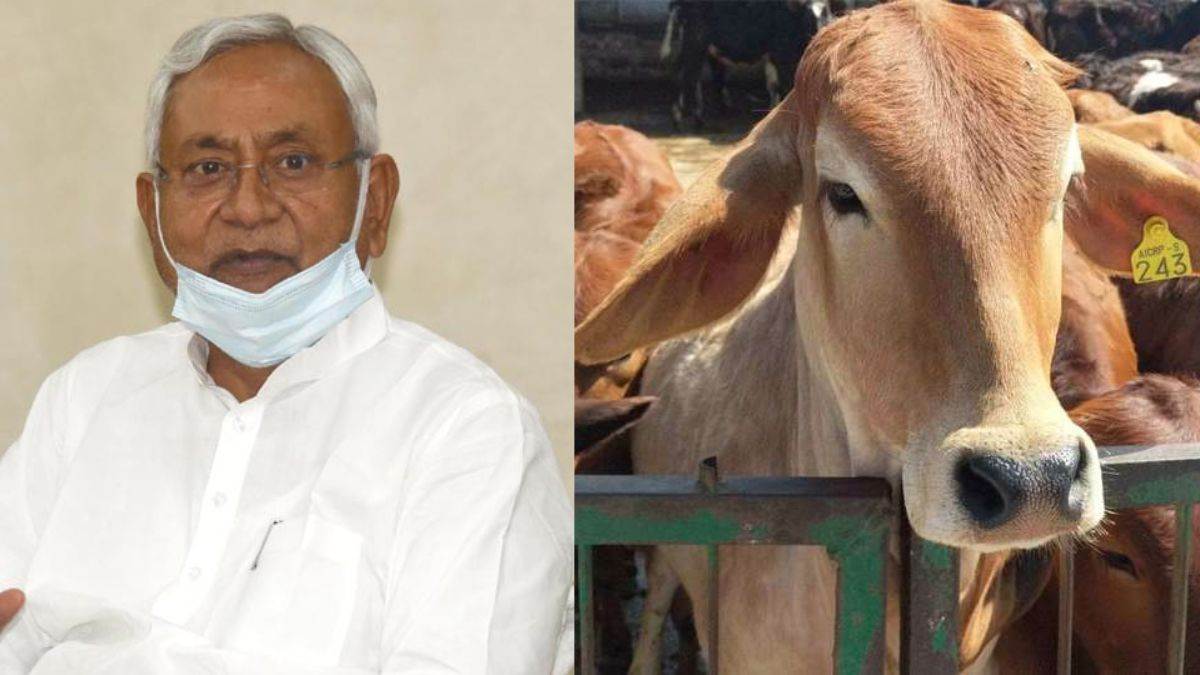 nitish kumar will raise a cow chief minister of bihar had expressed his desire to the people of the village a few days ago
