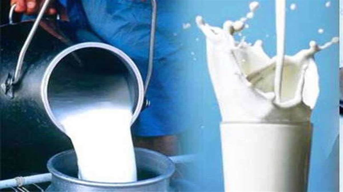 Vita Milk Price: अमूल के बाद वीटा ने दिया ग्राहकों को झटका, दूध के दाम 2  रुपये प्रति लीटर बढ़ाए - Vita Dairy milk hikes price by Rs 2 per liter in  faridabad