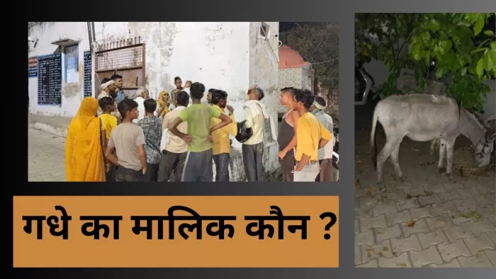 Agra News: दो गधे छह महीने पहले हो गए थे चोरी जो मिले तो दो मालिक दावा ठोकने लगे।