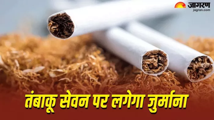 tobacco meaning in hindi | Tobacco Ka Matlab kya Hota hai     