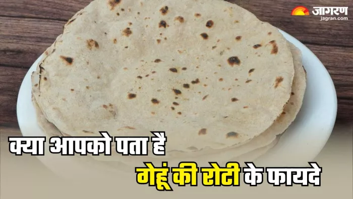 रोजाना गेहूं की रोटी खाने से मिलेंगे ये शानदार फायदे (Picture Credit- Freepik)