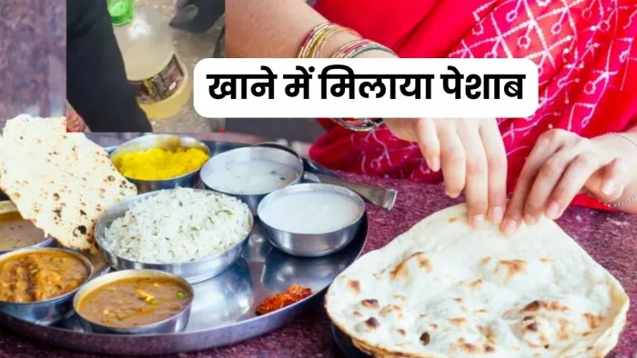 गाजियाबाद में नौकरानी द्वारा खाने में पेशाब मिलाने का मामला सामने आया है। फाइल फोटो