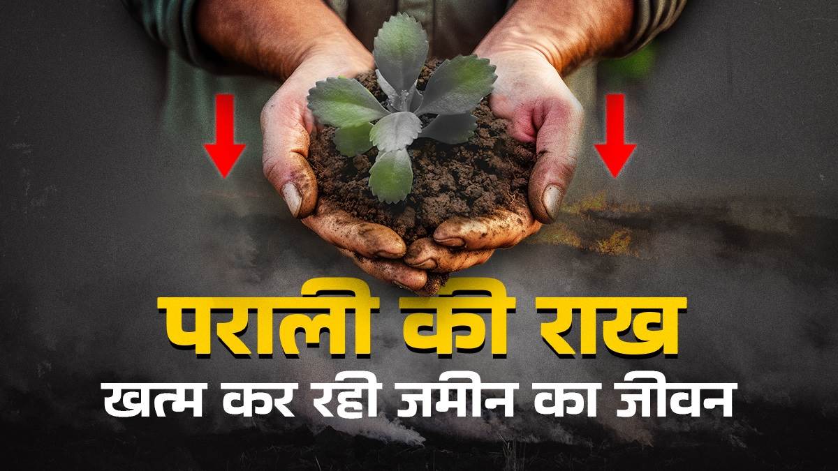 https://www.jagranimages.com/images/newimg/15102024/15_10_2024-organic-carbon-cover_1_23816101.jpg
