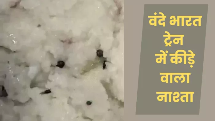 Meerut News: उपमा में मिला् कीड़ा वीडियोग्रेव