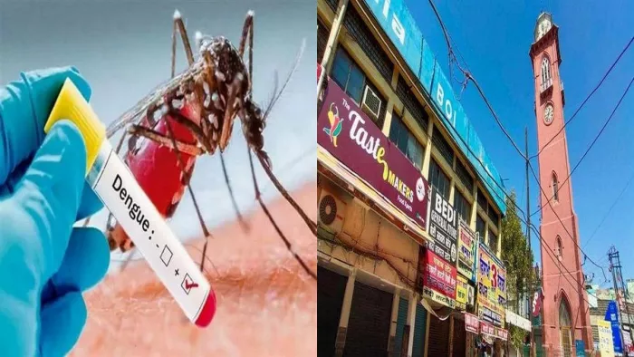 Dengue Cases in Ludhiana: शहर में डेंगू का खतरा बढ़ा। (सांकेतिक तस्वीर)