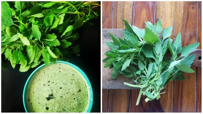 Bathua Saag Benefits: सेहत का खजाना है बथुआ का साग