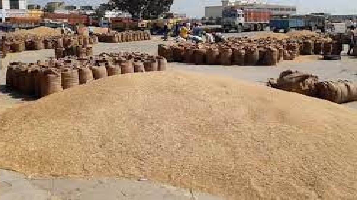 bihar dhan kharid paddy procurement will start in the entire state from today the target of procurement is 45 lakh tonnes
