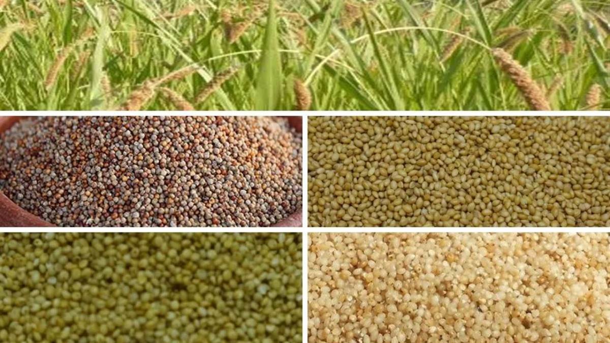 https://www.jagranimages.com/images/newimg/15112023/15_11_2023-farmers_news_23581136.jpg