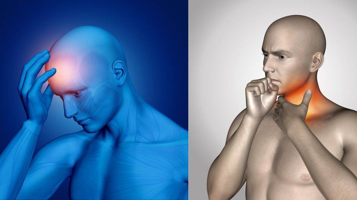 https://www.jagranimages.com/images/newimg/15112024/15_11_2024-head_and_neck_cancer_23831399.jpg