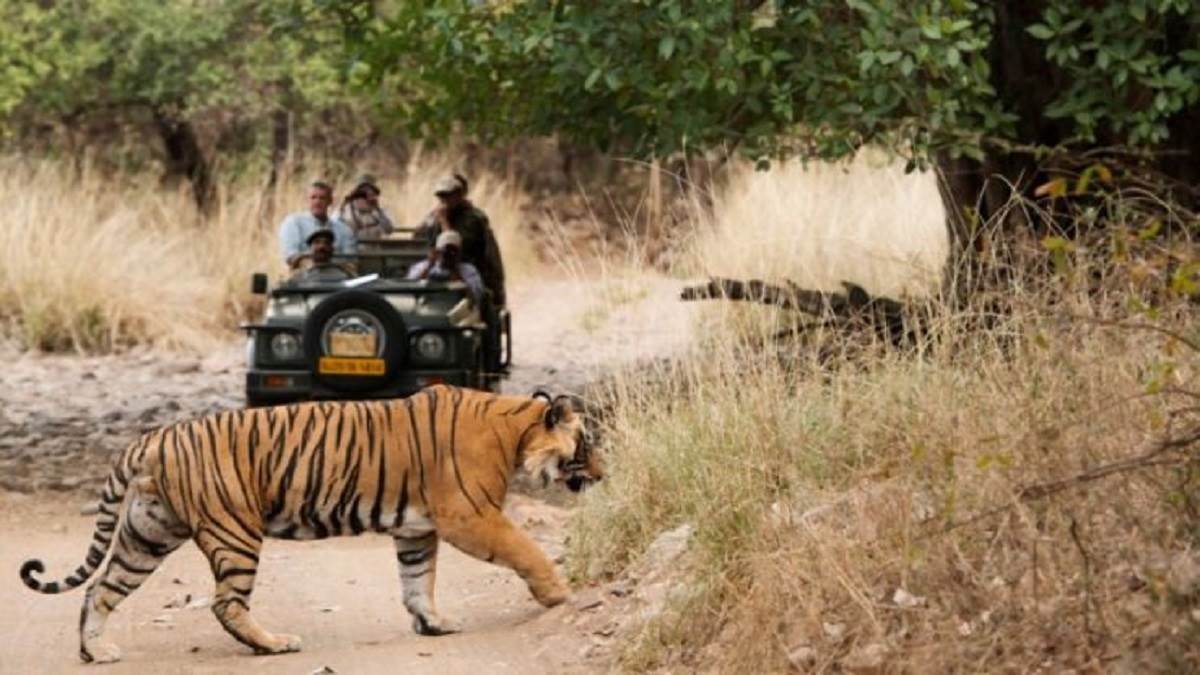 https://www.jagranimages.com/images/newimg/15112024/15_11_2024-kanha_national_park_23831484.jpg
