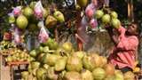 इंदिरा बाल विहार के पास लगी नारियल की दुकानें। -जागरण