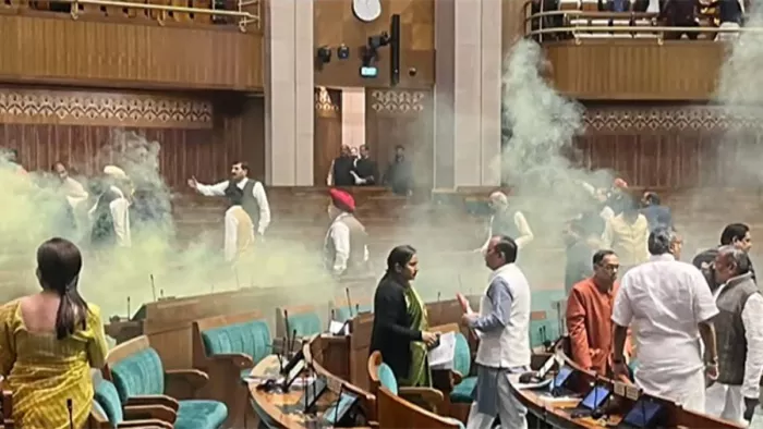 संसद की सुरक्षा चूक मामले में एक नया खुलासा हुआ है। (फाइल फोटो)