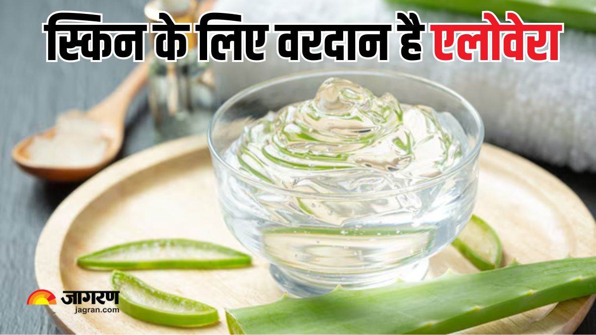 https://www.jagranimages.com/images/newimg/15122024/15_12_2024-aloe_vera_masks_for_winter_23848838.jpg
