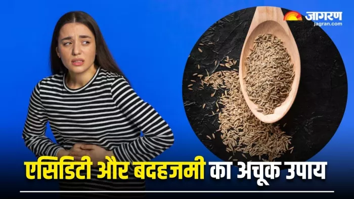 गैस, एसिडिटी और बदहजमी से छुटकारा दिलाएंगे 4 Seeds, जानें कैसे करना है इस्तेमाल (Image Source: Freepik)