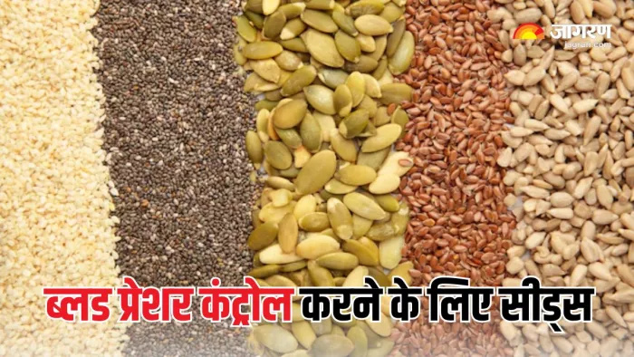 ये सीड्स हैं हाई ब्लड प्रेशर कंट्रोल करने में मदद (Picture Courtesy: Freepik)