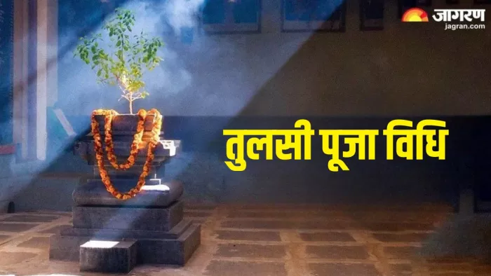 Tulsi Puja: ये है तुलसी की पूजा विधि