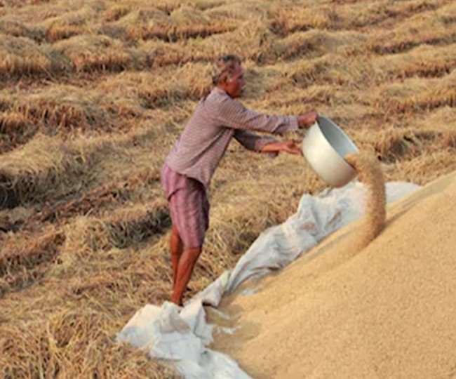 बिहार में एमएसपी पर धान बेचने वाले किसान परेशान हैं।
