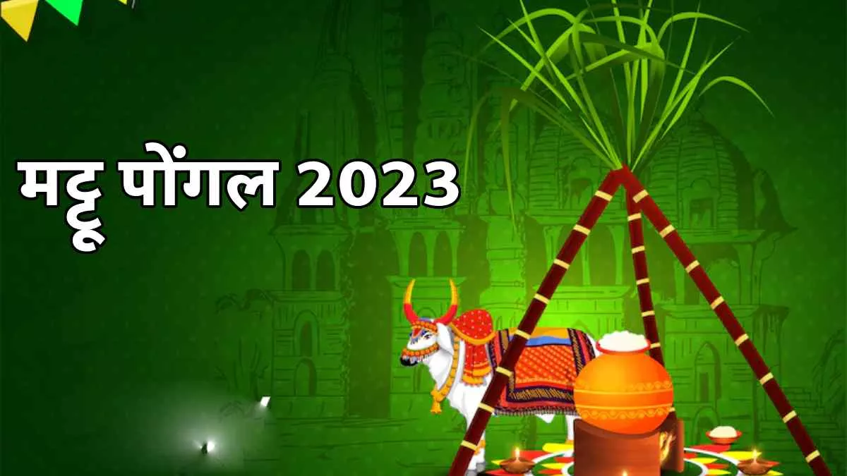 Mattu Pongal 2023 मट्टू पोंगल के नाम से ...