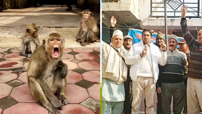 गरुड़ के गांधी चबूतरे पर बंदरों की समस्या से निजात दिलाए जाने की मांग को लेकर प्रदर्शन करते ग्रामीण। जागरण।