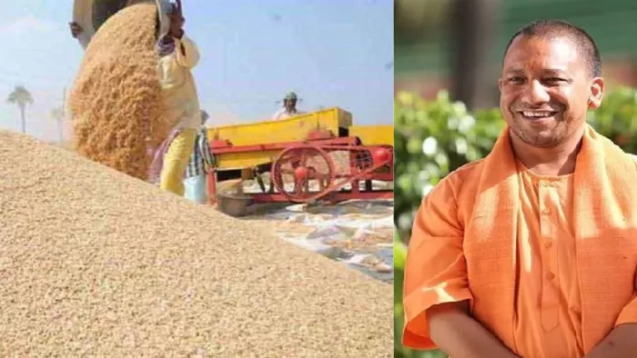 यूपी के किसानों के लिए खुशखबरी, गेंहू के समर्थन मूल्य में बढ़ोत्तरी, इस तारीख से शुरू होगी खरीद