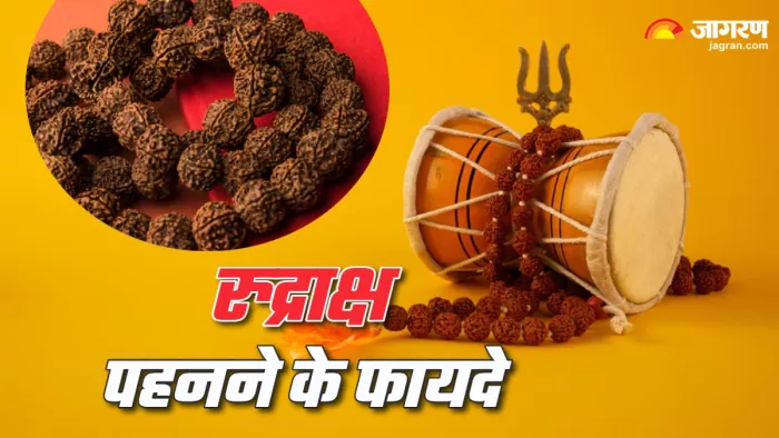 Rudraksha Benefits: किसे नहीं पहनना चाहिए रुद्राक्ष।