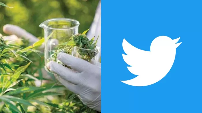 Now cannabis company can show there ads on twitter