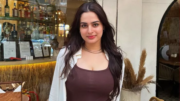 जानिए किस रियलिटी शो के लिए रेडी हैं आयशा खान (Photo Credit-Instagram)