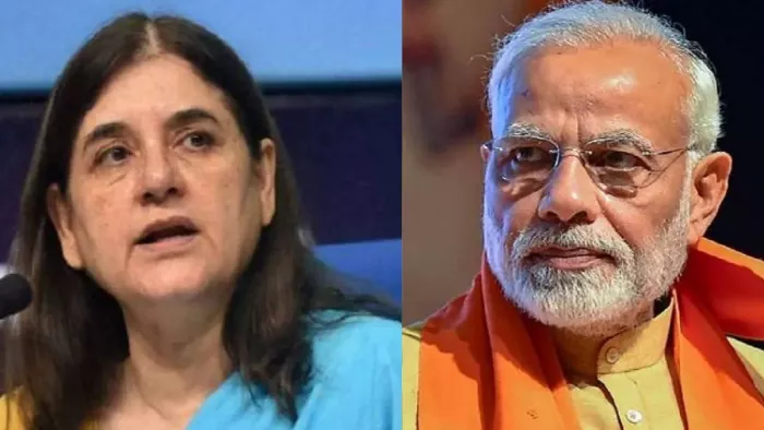 भाजपा काट सकती है मेनका गांधी का टिकट! अटकलों के बीच दावेदार लगा रहे दिल्ली तक दौड़
