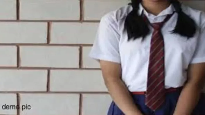 Mainpuri News: प्रस्तुतीकरण के लिए सांकेतिक तस्वीर का प्रयोग किया गया है।