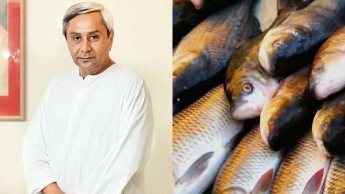 ओडिशा मछली पालन के क्षेत्र में धीरे-धीरे बढ़ रहा आगे