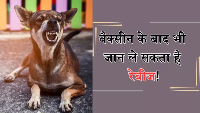 क्या वैक्सीन के बाद भी जानलेवा होता है रेबीज