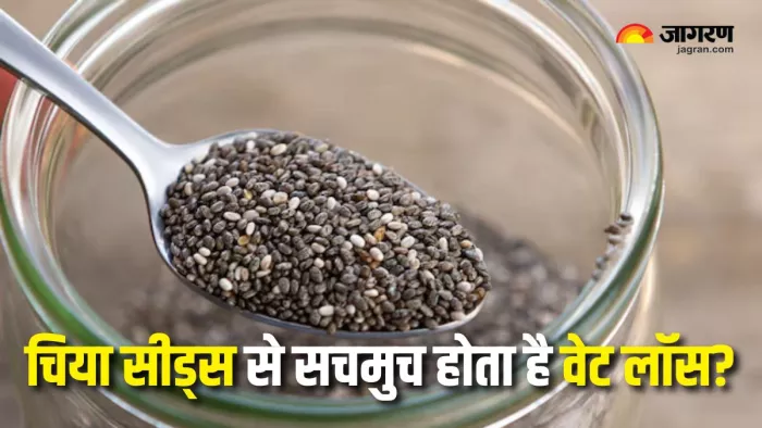 Chia Seeds For Weight Loss: वजन कम करने के लिए आप भी खा रहे हैं वेट लॉस? (Picture Courtesy: Freepik)