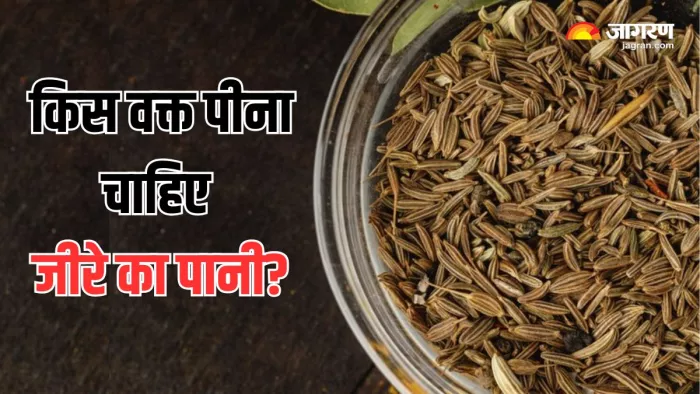 Jeera Water Benefits: जीरे के पानी से तेजी से होगा Weight Loss (Picture Courtesy: Freepik)