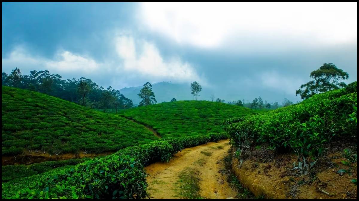 https://www.jagranimages.com/images/newimg/16042023/16_04_2023-coorg_23386927.jpg