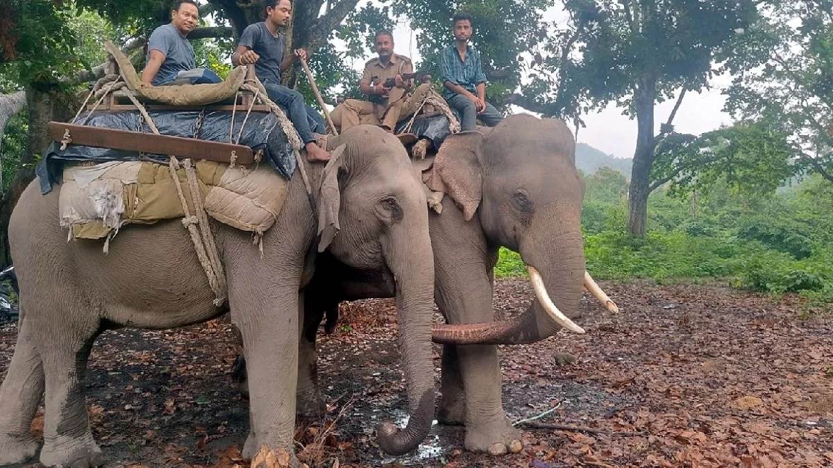 elephant safari start in rajaji national park