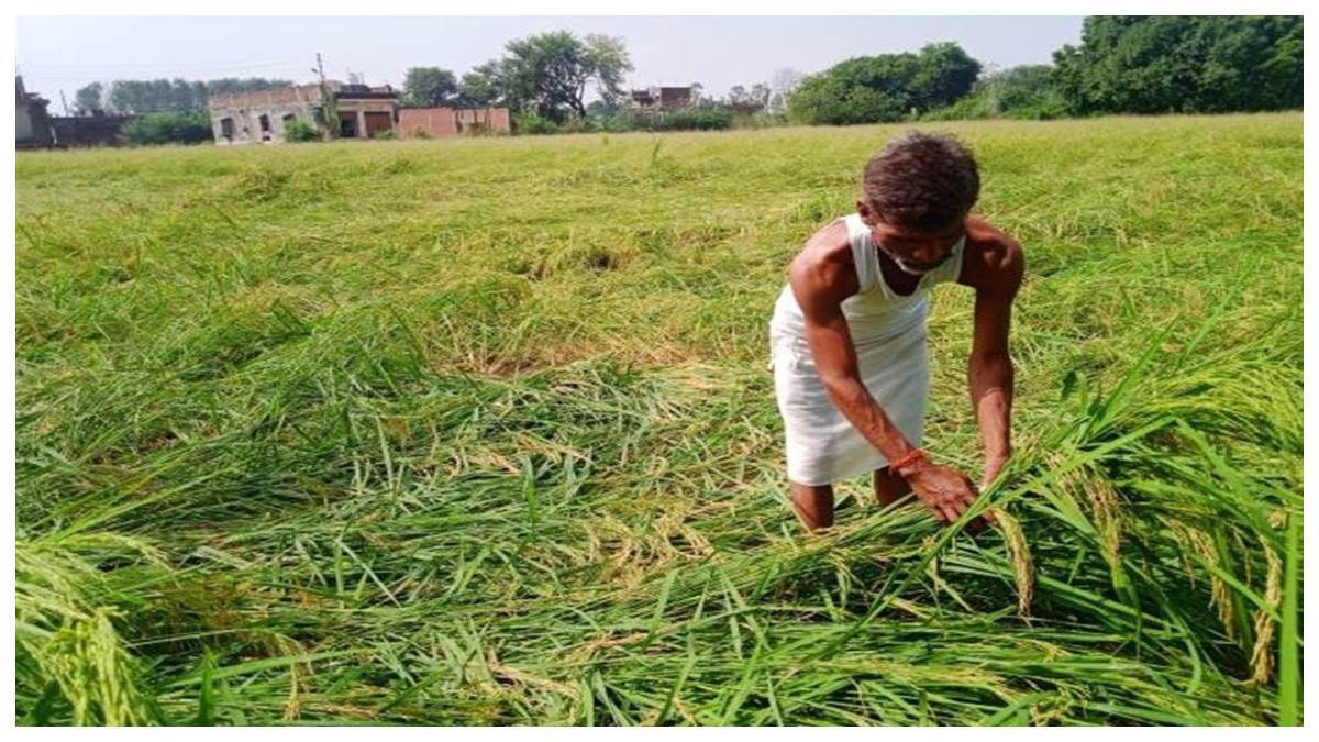 https://www.jagranimages.com/images/newimg/16042023/16_04_2023-kaithal_news_23387163.jpg