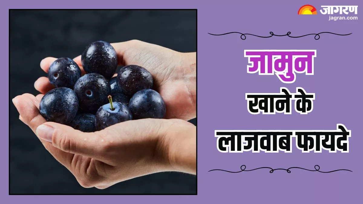 Benefits of Jamun: शुगर लेवल को कंट्रोल करने से लेकर हीमोग्लोबिन बढ़ाने तक, जामुन देता है ये 5 जबरदस्त फायदे