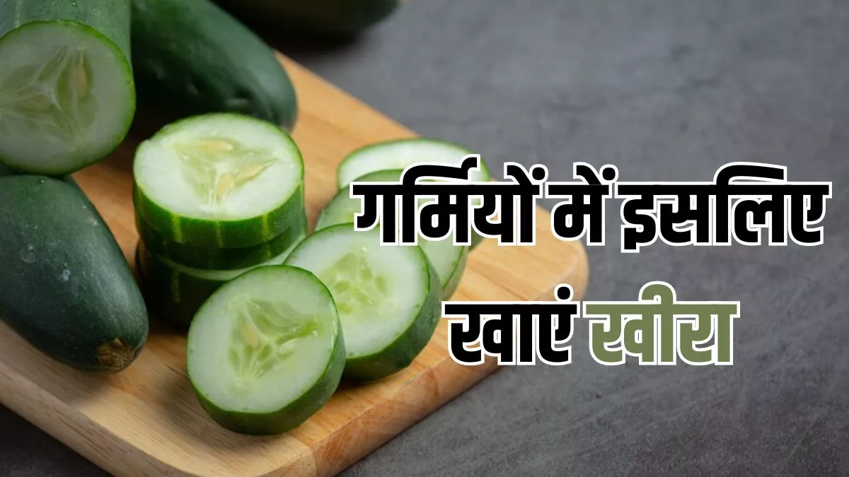 Cucumber Benefits: यूं ही नहीं गर्मियों में सुपरफूड कहलाता है खीरा, इन 8 वजहों से आप भी बनाएं डाइट का हिस्सा
