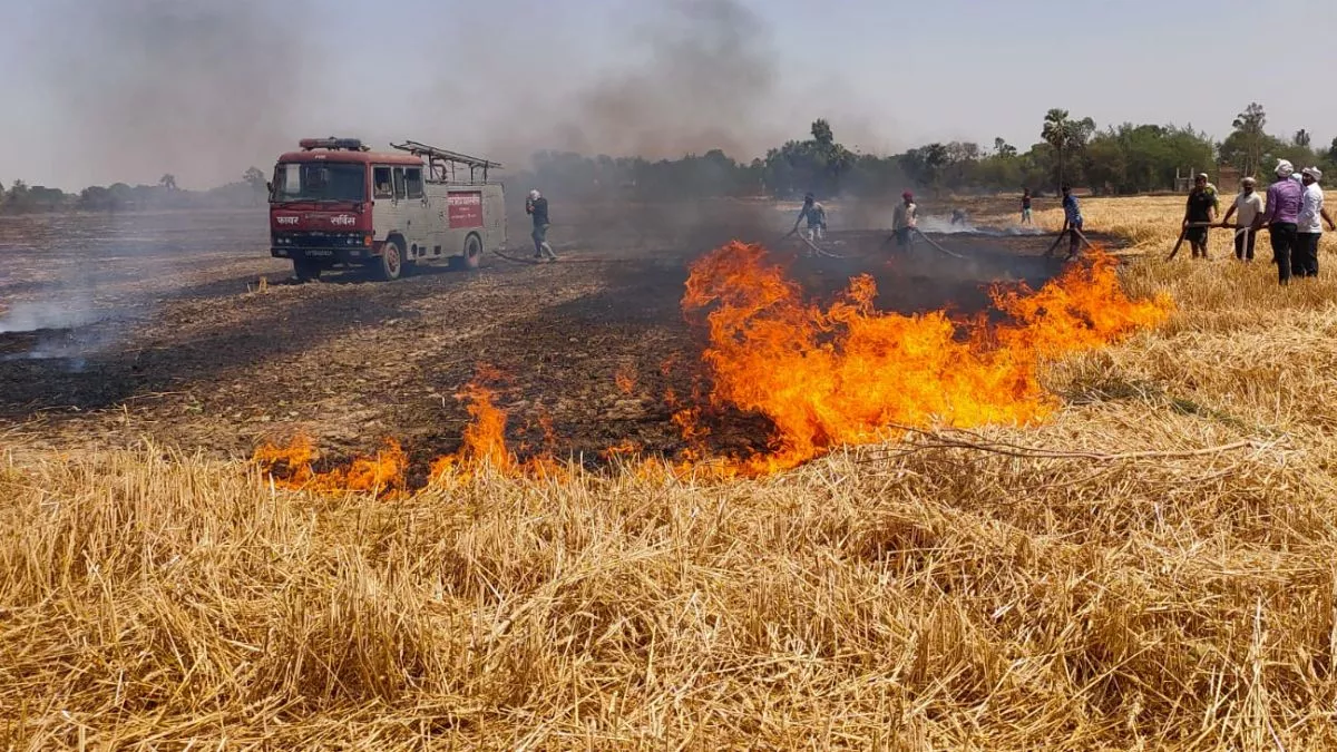 UP News: संतकबीरनगर में पांच किलोमीटर के इलाके में फैली आग, हवा की वजह से नहीं पाया जा रहा काबू