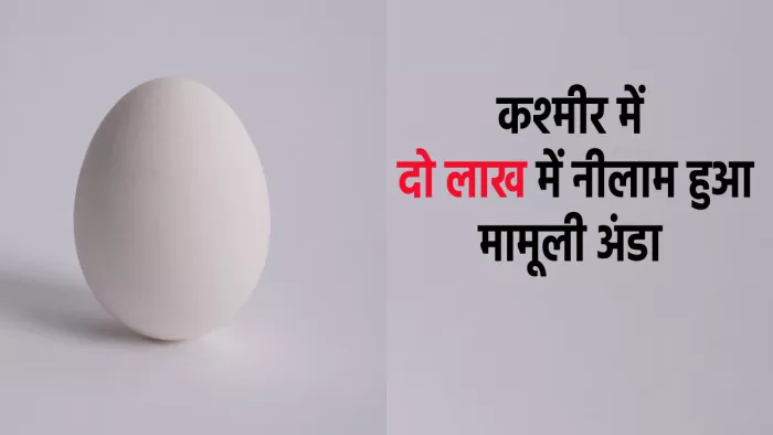 Jammu Kashmir News: दो लाख से ज्यादा में हुआ नीलाम मामूली अंडा