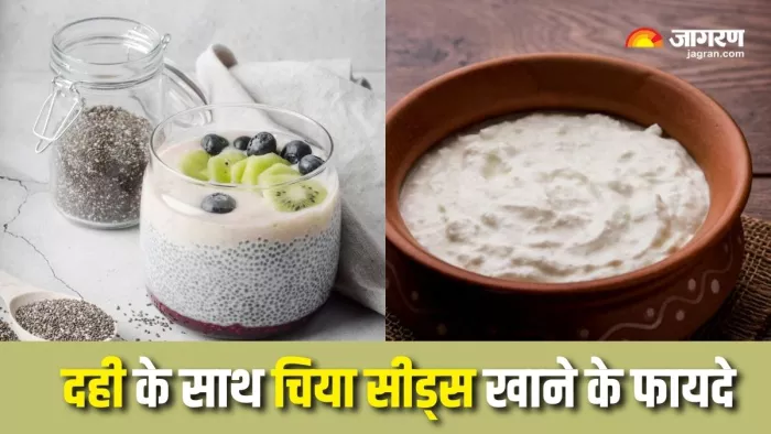 Chia Seeds With Curd Benefits: दही और चिया सीड्स का कॉम्बिनेशन है सेहत के लिए फायदेमंद (Picture Courtesy: Freepik)