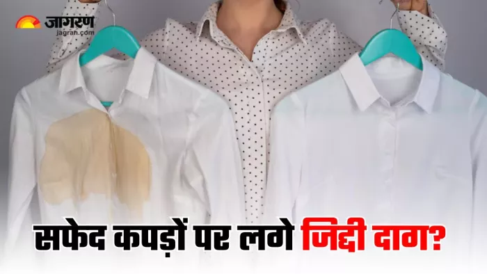 सफेद कपड़ों के जिद्दी दाग छुड़ाने में 5 टिप्स करेंगे आपकी मदद (Image Source: Freepik)