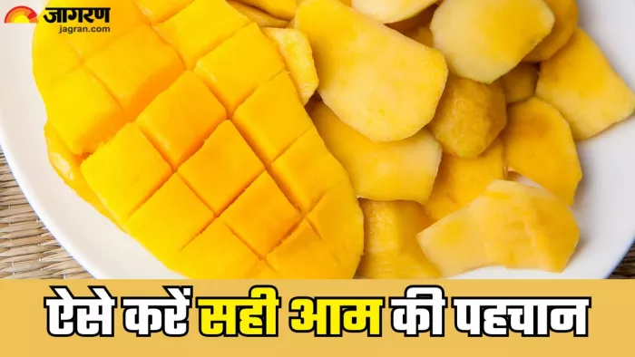 इन तरीकों से करें केमिकल वाले आम की पहचान (Picture Credit- Freepik)