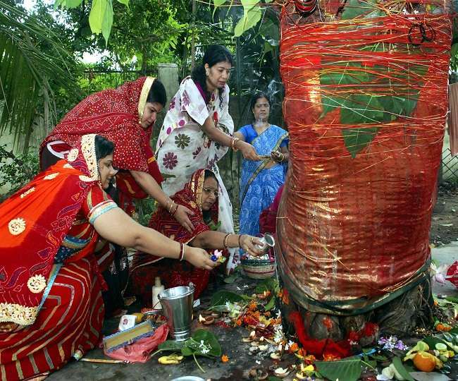 Vat Savitri Vrat 2024: जानें, वट सावित्री व्रत की पूजा विधि और उससे जुड़ी  सामग्रियां