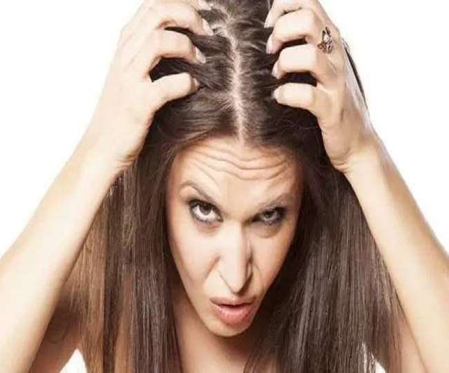 बाल झड़ने से परेशान हैं तो दवा से ज्यादा डाइट पर दें ध्यान - Are you facing hair fall problem then you should change your diet बाल झड़ने से परेशान हैं तो दवा से ज्यादा डाइट पर दें ध्यान - Are you facing hair fall problem then you should change your diet